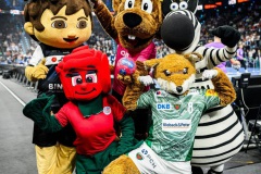Füchse Berlin vs THW Kiel
