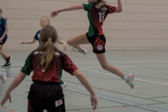 HSG-MS-wDII-23-Feb-25-Forstenried-2-
