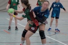 HSG-MS-wDII-23-Feb-25-Forstenried-7